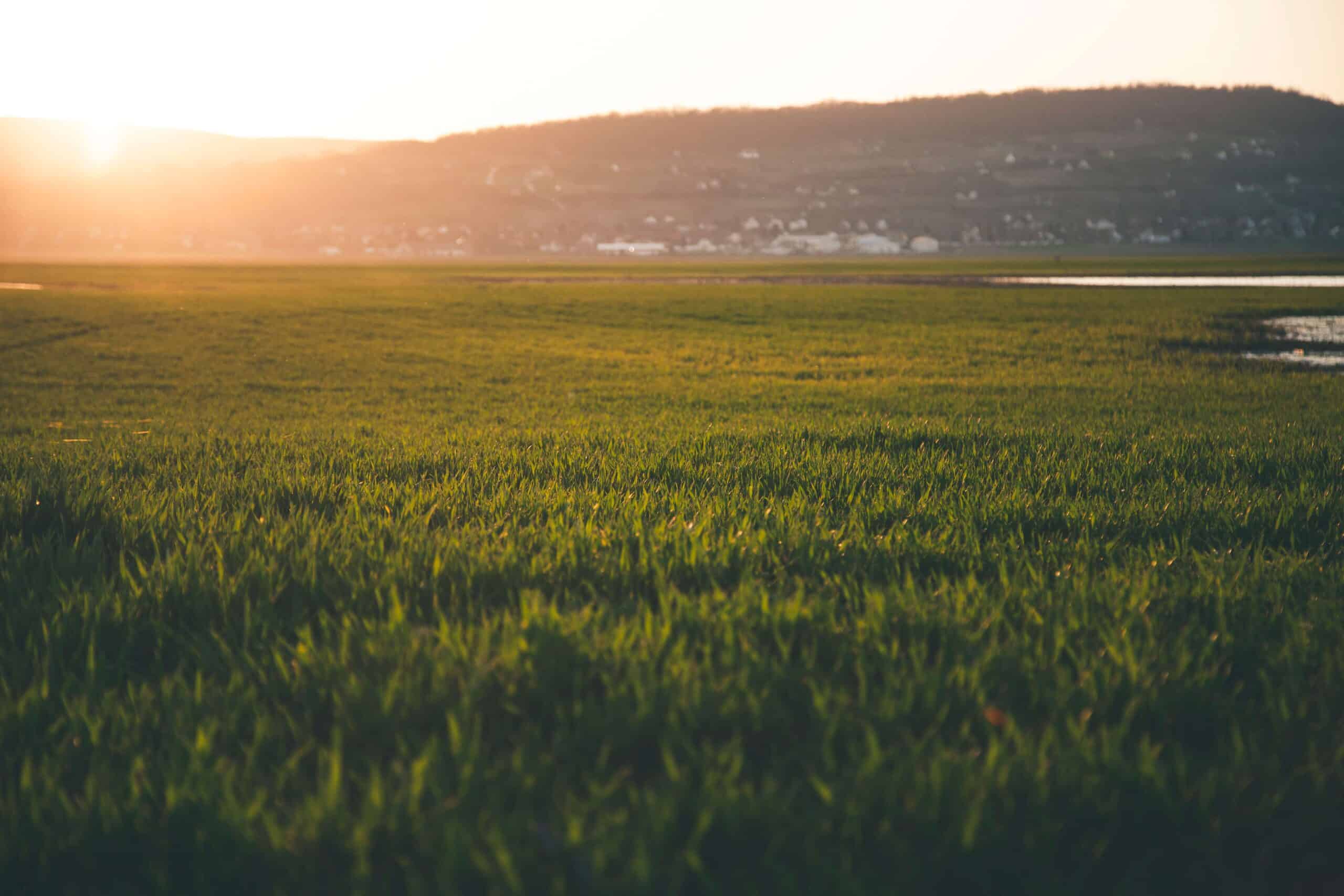 Landschaft und Bauland – Grundstücksankauf durch Schönrich Immobilien